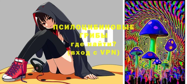 МДПВ Билибино