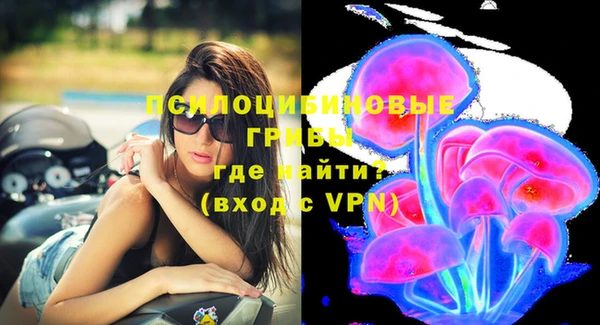 соль ск Надым