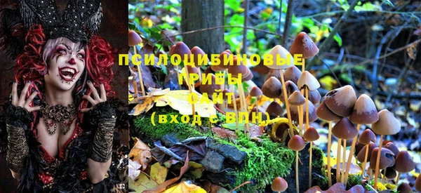дурь Наволоки