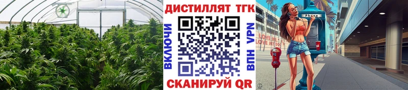 Дистиллят ТГК Wax  сколько стоит  Таруса 